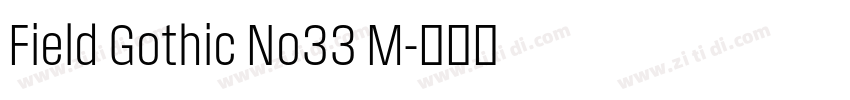 Field Gothic No33 M字体转换
